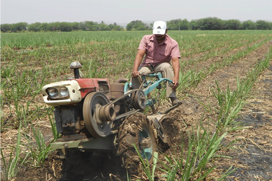 Land Preparation:Using PIPL's Power Tiller